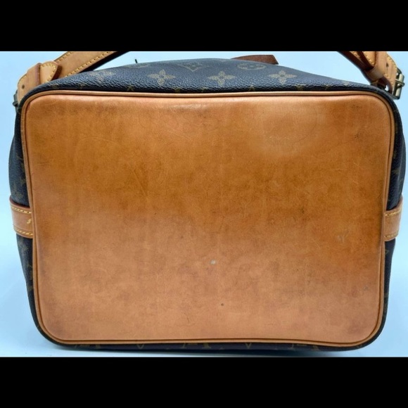 Petit Noe - Picture 7 of 10